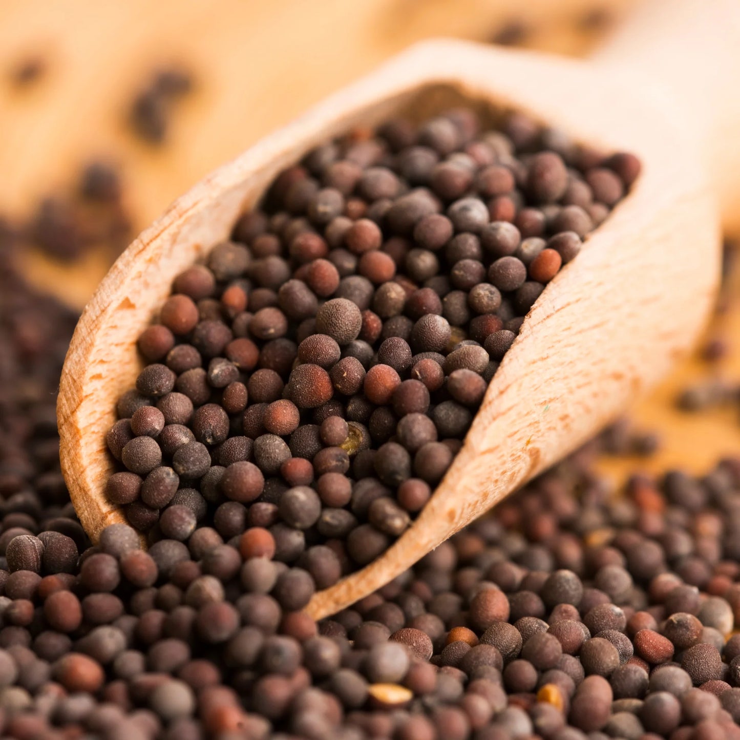 BROWN MUSTARD SEEDS