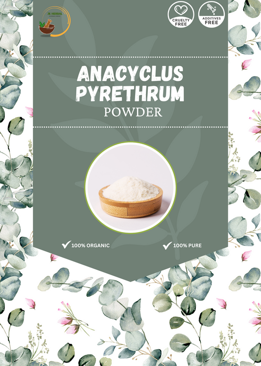 ANACYCLUS PYRETHRUM POWDER