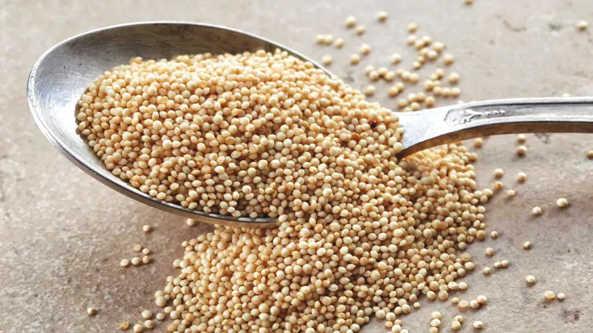 AMARANTH GRAIN