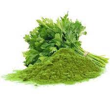 CILANTRO LEAVE POWDER