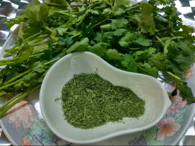 CILANTRO LEAVE POWDER